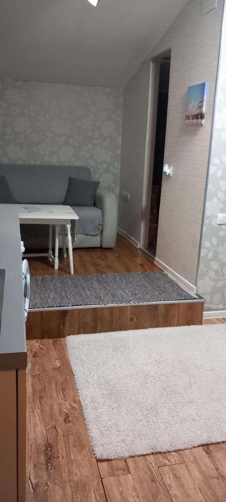 Cozy Studio In The Heart Of Cluj 外观 照片